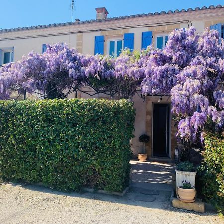 Le Mas Des Glycines Salon-de-Provence Esterno foto