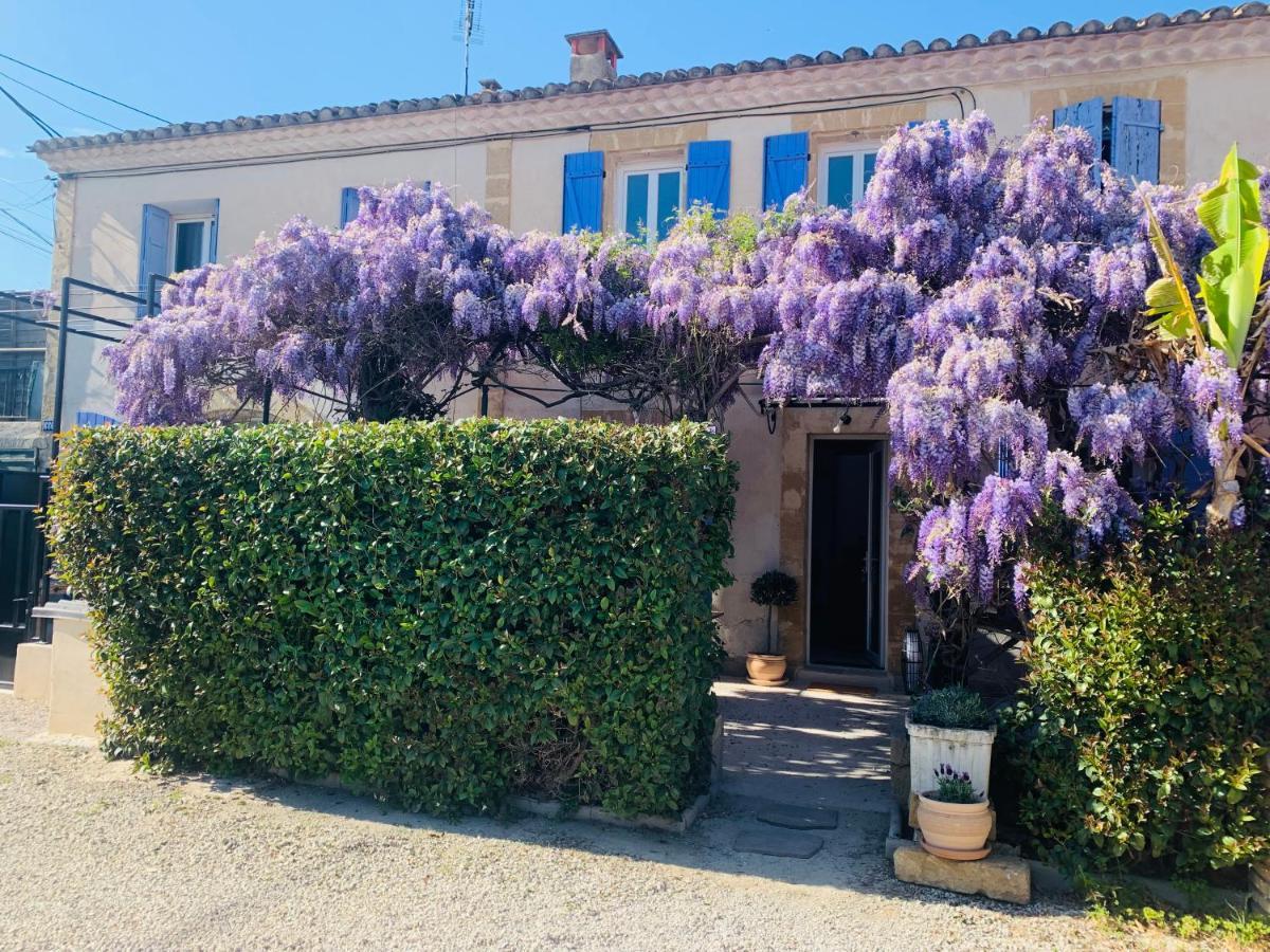 Le Mas Des Glycines Salon-de-Provence Esterno foto